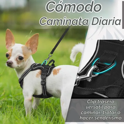 Vista 4 de Eagloo Arnés para perro pequeño, sin tirones, chaleco de servicio con tiras reflectantes y asa de control, ajustable y cómodo para caminar, arnés