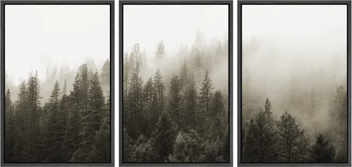 Vista 46 de SIGNWIN Lienzo enmarcado para pared, juego de decoración de guardería de bosques, niebla y niebla sobre bosque de montaña oscura, naturaleza, arte