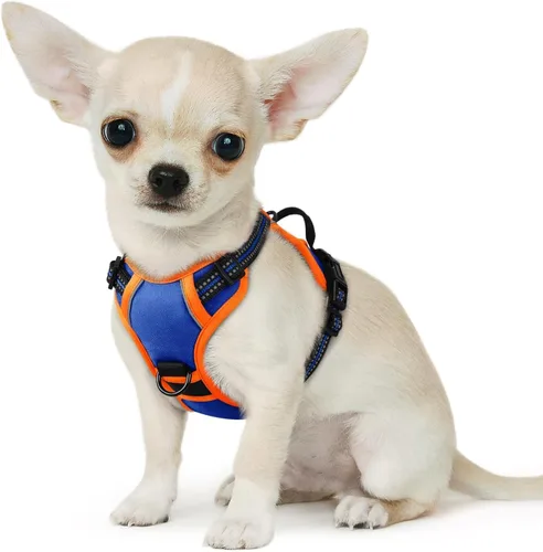 Vista 67 de Eagloo Arnés para perro pequeño, sin tirones, chaleco de servicio con tiras reflectantes y asa de control, ajustable y cómodo para caminar, arnés