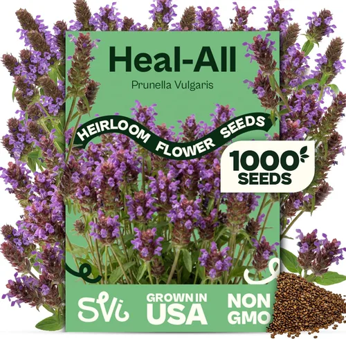 Vista 14 de SVI 2000 semillas de albahaca genovesa (Ocimum basilicum) - Paquetes de semillas de albahaca dulce - Semillas aromáticas de hierbas culinarias