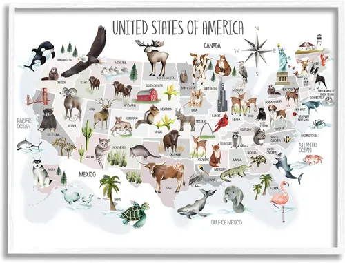 Vista 7 de Estados Unidos de América Mapa de Animales Kid's' Arte de placa de pared Stupell Industries 15 x 10 pulgadas, fácil de colgar y resistente