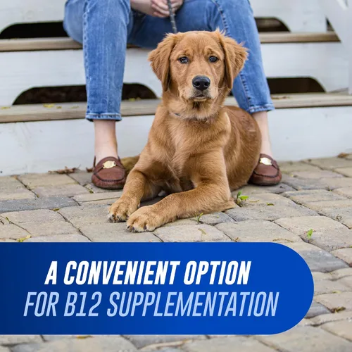 Vista 3 de Nutramax Cobalequin Vitamina B12 para perros de más de 21 libras, tabletas