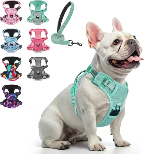 Vista 31 de BEAUTYZOO Arnés para perro sin tirones pequeño, juego de arnés y correa ajustable para perro - Fácil de usar con 3 hebillas/mango de control, arnés