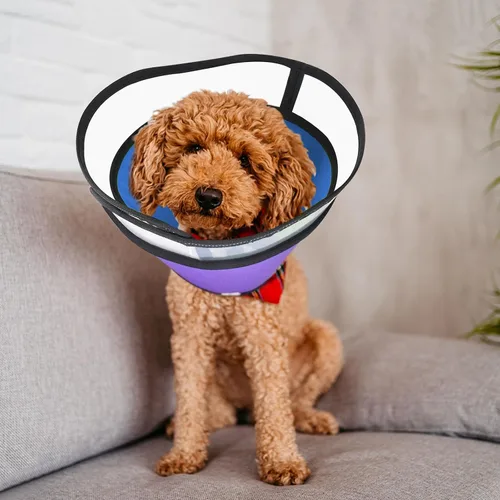 Vista 5 de Conos para perros medianos y grandes, alternativa de collar de cono suave para después de la cirugía