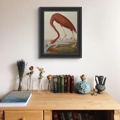 Vista 3 de Lost Cabin American Flamingo por James Audubon Impresión en marco biselado negro Reproducción de pintura de obras de arte finas Póster