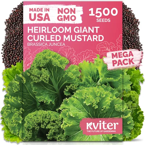 Vista 36 de KVITER 50 semillas de calabaza de azúcar orgánicas (Cucurbita Pepo) – Semilla de calabaza pequeña reliquia, carne dulce de grano fino para enlatar