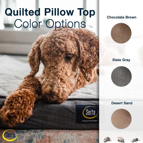 Vista 6 de Serta Cama ortopédica acolchada para perros con parte superior para mascotas - Gris pizarra (XL)