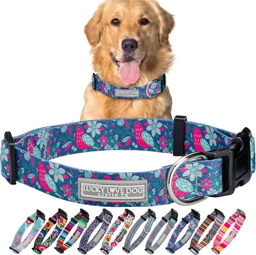 Vista 17 de Lucky Love Dog - Collar para perras pequeñas, diseño Blackbird de estampado alegre con flores de primavera y verano, talla XS Collar Blackbird