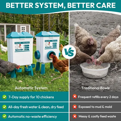 Vista 5 de INNOLAND Chicken Feeder and Waterer Set - 3 Gallon/26.5 Pounds