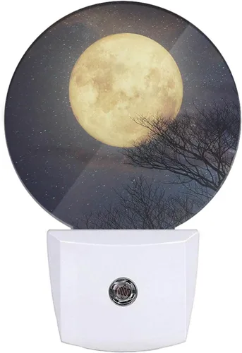Vista 28 de EKOBLA Luz nocturna enchufable para jardín de primavera, luz nocturna LED de lavanda y camino floreciente para niños y adultos, decoración del hogar