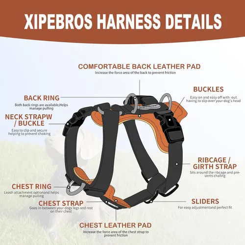 Vista 6 de Arnés para perro, arnés para perro sin tirones con almohadillas lesthe, ideal para pasear y entrenar perros. Arnés para perro fácil de caminar
