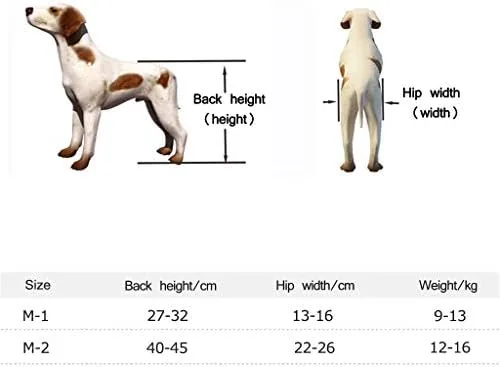 Vista 4 de Silla de ruedas ajustable para perros y patas traseras - Carrito de rehabilitación de mascotas para perros y gatos paralizados - Patinete de apoyo