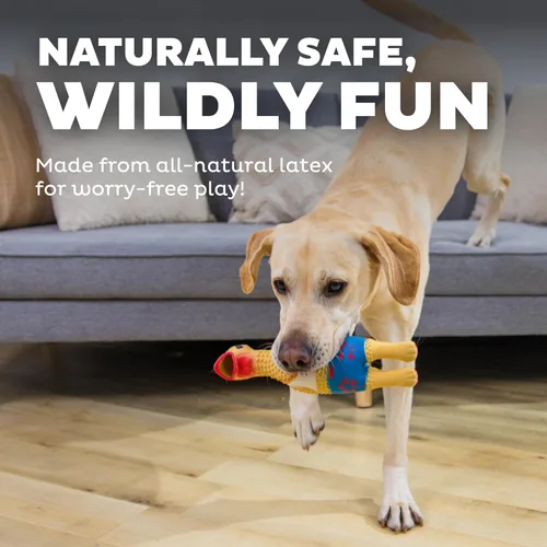 Vista 4 de Outward Hound by Charming Pet Squawkers Earl - Juguete de goma de pollo con látex chillón para perros, juguete divertido e interactivo