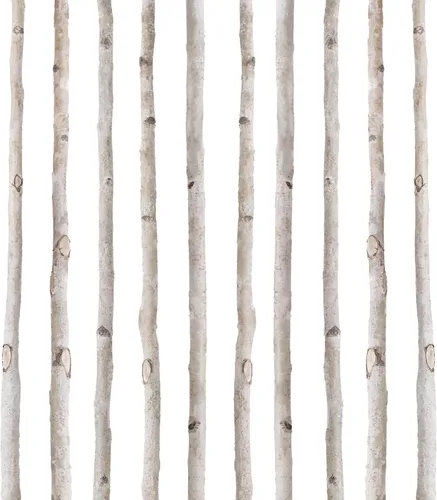 Vista 8 de 5 varillas de abedul blanco de 4 pies 1-1.5 pulgadas de diámetro, ramitas de madera natural para manualidades, ramas, decoración del hogar