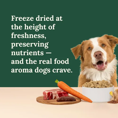 Vista 6 de 360 Pet Nutrition Alimento crudo liofilizado para perros – Receta de carne de res con hígado y órganos, alta proteína con omega-3, frutas, verduras