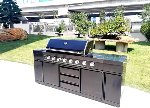 Vista 5 de Parrilla de cocina de acero inoxidable 3 en 1 negro para barbacoa al aire libre, isla de cocina, gas licuado de gas licuado de gas licuado de gas