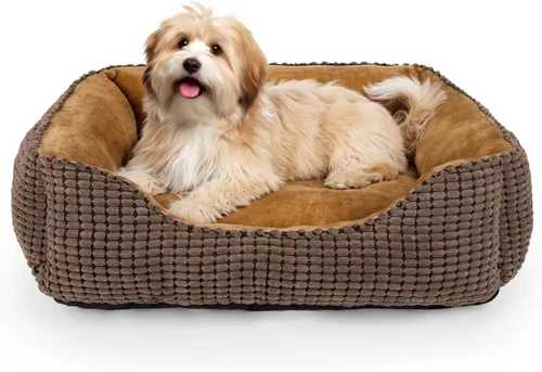 Vista 23 de MIXJOY Cama Ortopédica Rectangular Lavable para Perros Pequeños, Medianos y Grandes, Suave Calmante, Cama Duradera para Cachorros Durmientes Cojín