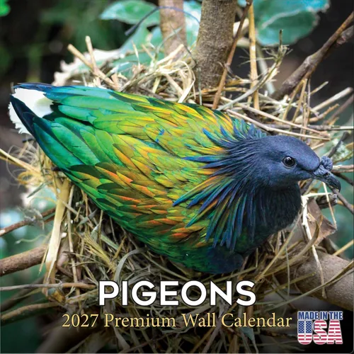 Vista 302 de Calendario de grises africanos 2025 2026 – Planificador mensual de pared de aves africanas – 12 x 18 pulgadas (abierto), calendario de pared