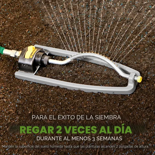 Vista 6 de Scotts Turf Builder - Mezcla de festuca alta para semillas de césped, duradera para resistir condiciones duras con nutrición para el desarrollo