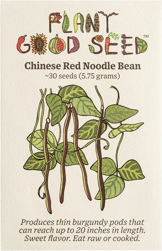 Vista 6 de Plant Good Seed Semillas de frijol orgánico ojo de tigre – Paquete de 18 semillas de frijol arbusto de reliquia para plantar verduras, suministros