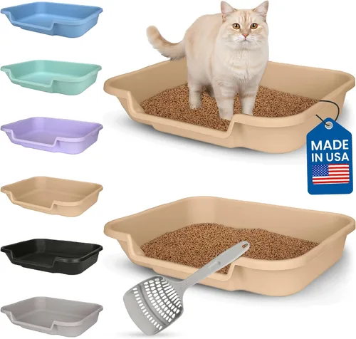 Vista 55 de KittyGoHere - Caja de arena para gatos mayores, sartén pequeña con cuchara jumbo de mango largo, caja de arena para gatos de entrada baja, ligera