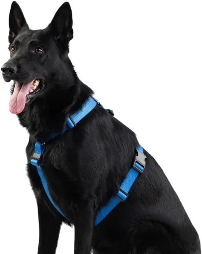 Vista 13 de Anatomically Correct - Arnés para perro en forma de Y, no restrictivo, sin tirones, ajustable de 6 puntos para movimiento natural, a prueba