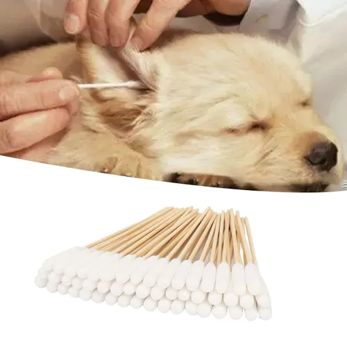 Vista 5 de 100 hisopos de algodón para mascotas, brotes de algodón para perros y gatos, eliminación de suciedad profesional, hisopos de algodón de bambú