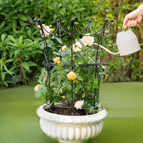 Vista 6 de Soportes de peonía para plantas de exterior, estacas de dalia de 18.5 x 22.9 pulgadas Negro