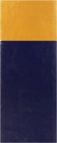 Vista 2 de Denso 952-0001 Filtro de bomba de combustible