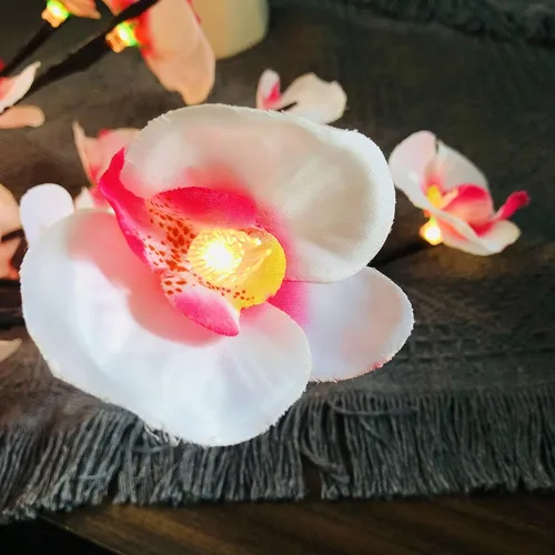 Vista 3 de Phalaenopsis - Paquete de 2 lámparas LED de rama de orquídea, ramo de orquídeas artificiales de mariposa, funciona con pilas, para decoración