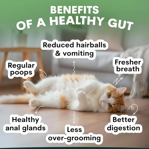 Vista 3 de Paquete de probióticos para gatos y probióticos para perros