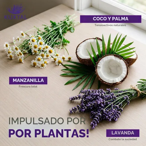 Vista 4 de KUXTAL - Limpiador natural para suelos de 3 unidades, seguro para mascotas, limpiador de suelos multisuperficie, fórmula biodegradable con extractos