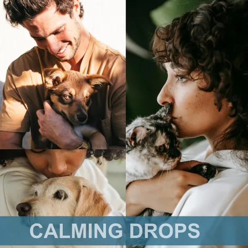 Vista 4 de Gotas calmantes para perros y gatos, calma y bienestar de las mascotas, fórmula 6 en 1 con L-teanina, bálsamo de limón y valeriana, manzanilla, 120