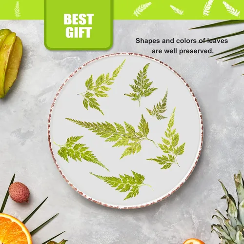 Vista 4 de ALJ Hojas de helecho secas reales, 42 hojas de helechos prensadas amarillas naturales para arte de resina, decoración de adornos de manualidades