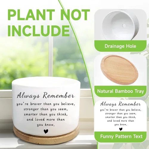Vista 4 de Regalos inspiradores para mujeres, bonita maceta para suculentas, maceta de cactus para amantes de las plantas, regalo motivacional de animación