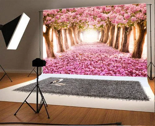 Vista 2 de AOFOTO Fondo de fondo de flores de cerezo de primavera de 5 x 3 pies, flores rosadas, árbol, pétalos florales, boulevard, fondo de fotografía, baby