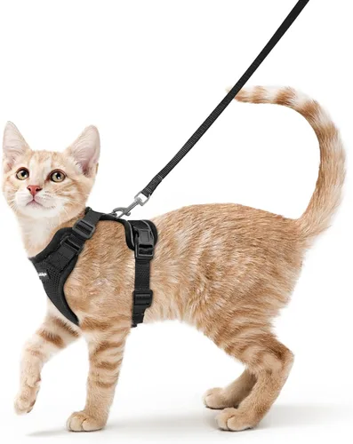 Vista 22 de rabbitgoo Cat Harness and Leash Set, Escape Proof Vest, XXS, Berry Pounce Soft Breathable Mesh, No-choke Adjustable Fit, Snap Buckles, Sturdy