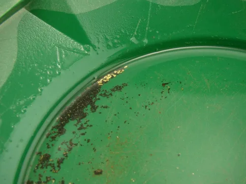 Vista 2 de Kit de minería de oro verde de 10