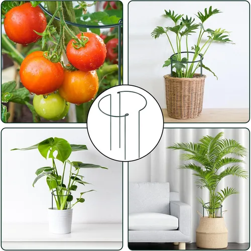 Vista 6 de Paquete de 12 estacas de soporte para plantas, jaulas y soportes de peonías de metal, jaula de peonía, anillo de soporte para plantas, soporte