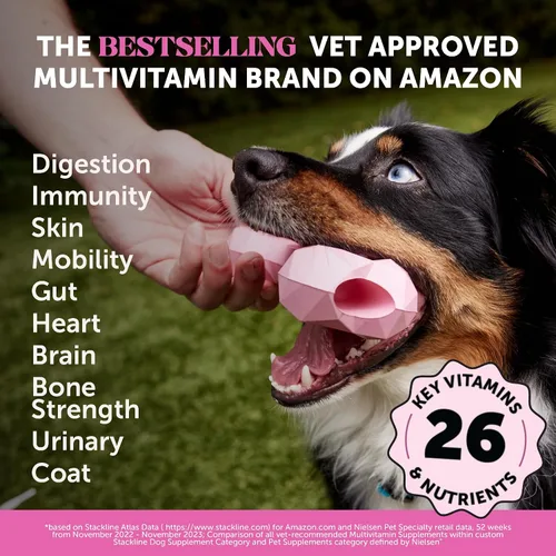 Vista 3 de Probióticos digestivos para perros + suplemento multivitamínico suave 10 en 1 para masticar paquete virtual – Vitaminas para perros, probióticos