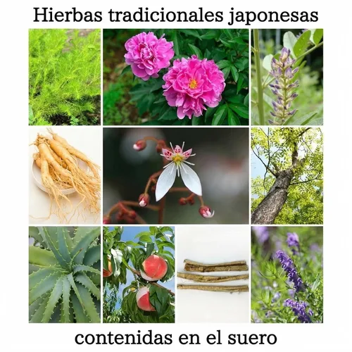 Vista 6 de Hyakkaso Suero herbario de ácido hialurónico, cuidado natural de la piel, agua y minerales Onsen de aguas termales, hidratación e hidratación, todo