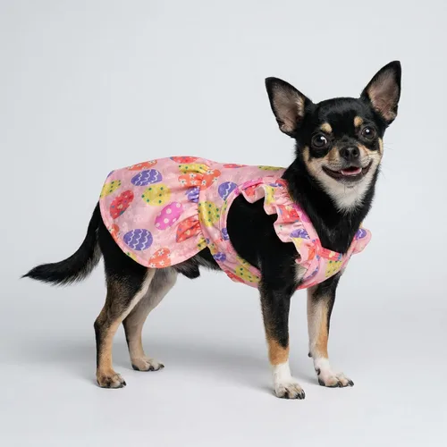 Vista 5 de Fitwarm Vestido de huevo de Pascua para perro, ropa de vacaciones para perros pequeños y niñas, traje de Pascua para mascotas, rosa, amarillo