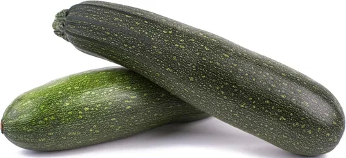 Vista 26 de 50 Hale's Best Cantaloupe Seeds for Planting - Sweet Aromatic Heirloom, Non-GMO, USA Grown by RDR Seeds