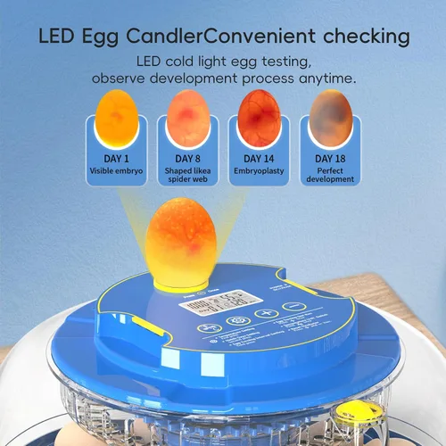 Vista 5 de Incubadoras para incubar huevos Incubadora automática de huevos con control de temperatura y pantalla de humedad de 12, 18, 48 huevos para pollo