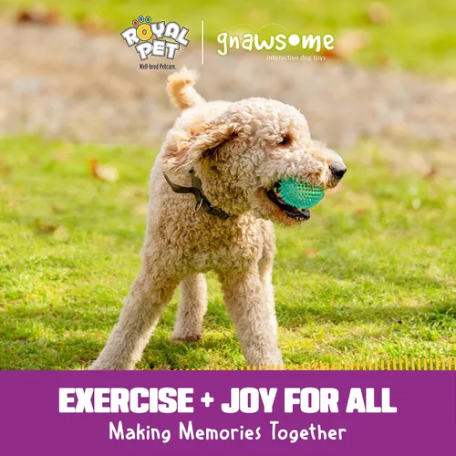 Vista 2 de Gnawsome™ 4.5” Balón de fútbol chillón puntiagudo para perros - Grande, limpia los dientes y promueve la buena salud dental y de las encías para tu