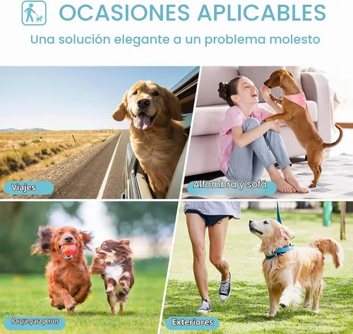 Vista 6 de Avont Paquete de 3 pañales reutilizables para perros hembra-negro/verde