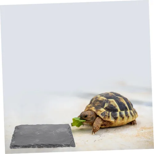 Vista 9 de Ipetboom 2pcs Cuenco de pulido de uñas Reptil Basking Plataforma Tortuga Plato de comida Colorfast Multifuncional