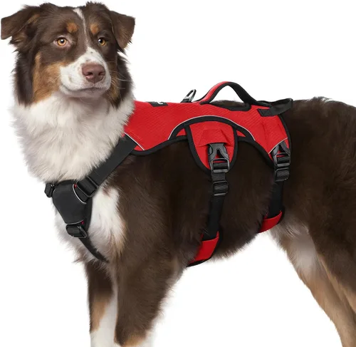 Vista 17 de rabbitgoo - Arnés para perros a prueba de fugas, arnés para mascotas acolchado y suave de cuerpo completo, arnés reflectante ajustable sin tirones
