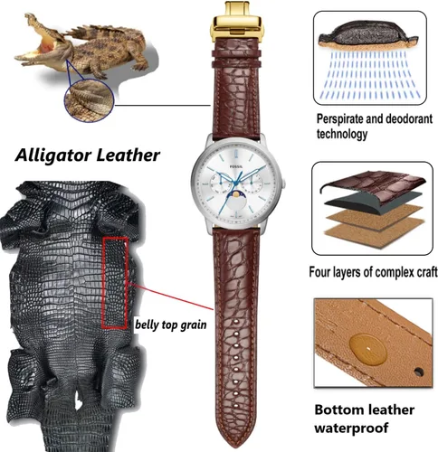 Vista 4 de Moran - Correa con estampado de cocodrilo y de cuero vacuno, para reloj de pulsera de 18 mm a 24 mm, para mujer y hombre