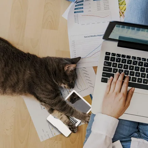 Vista 8 de ebuddy Mini casa de muñecas de juguete gato portátil pequeño espejo de computadora falso para gato (blanco)